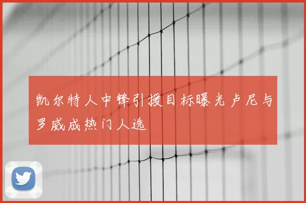 凯尔特人中锋引援目标曝光卢尼与罗威成热门人选