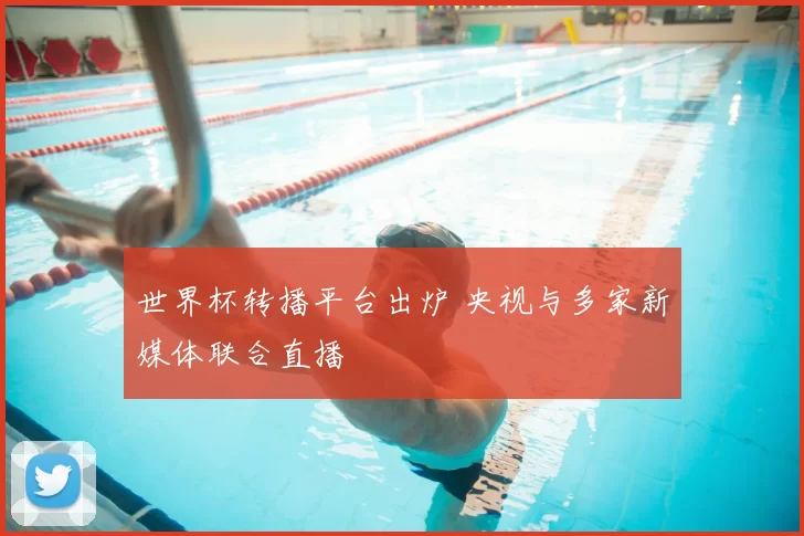 世界杯转播平台出炉 央视与多家新媒体联合直播