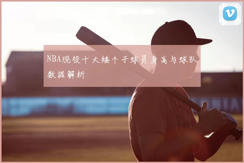 NBA现役十大矮个子球员身高与球队数据解析