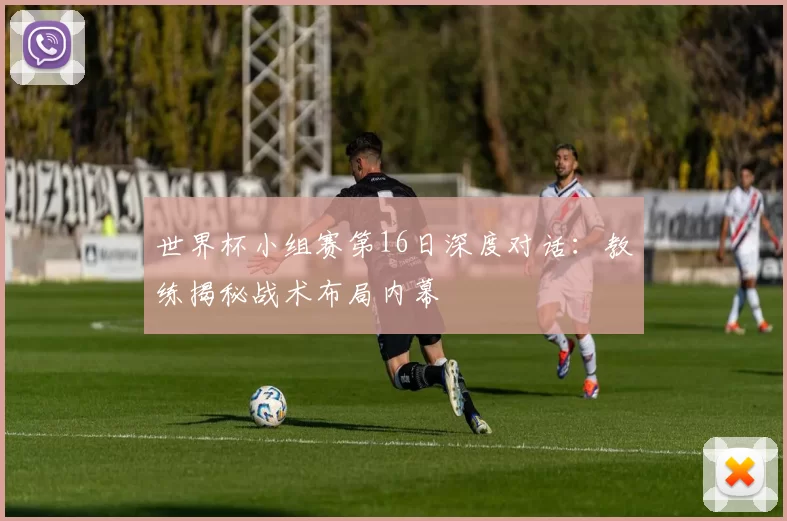 世界杯小组赛第16日深度对话:教练揭秘战术布局内幕