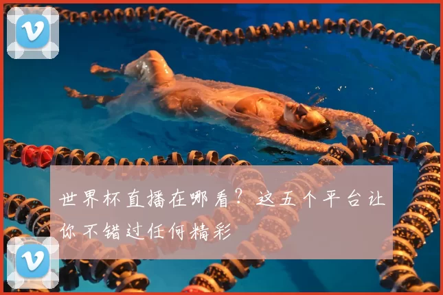 世界杯直播在哪看?这五个平台让你不错过任何精彩