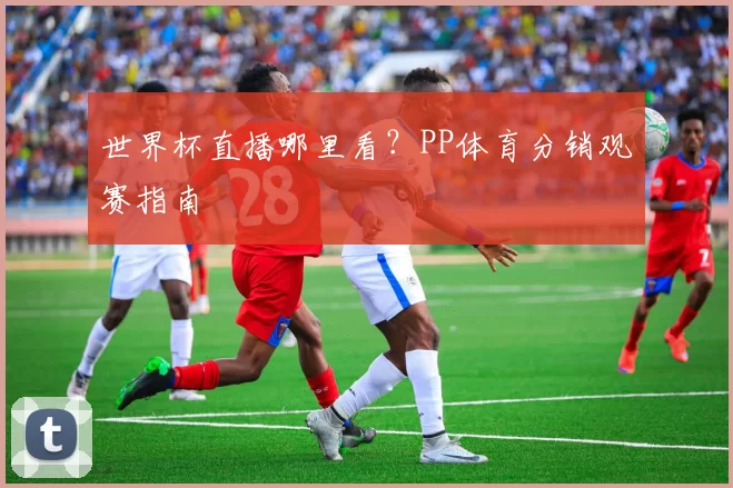 世界杯直播哪里看?PP体育分销观赛指南