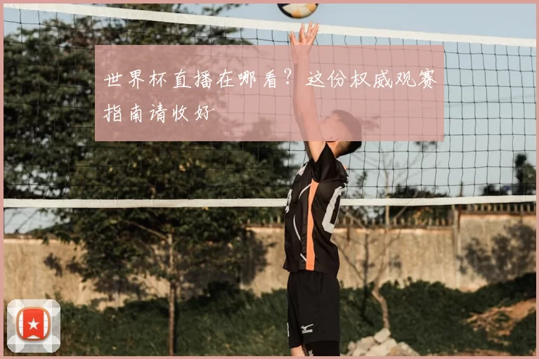 世界杯直播在哪看？这份权威观赛指南请收好