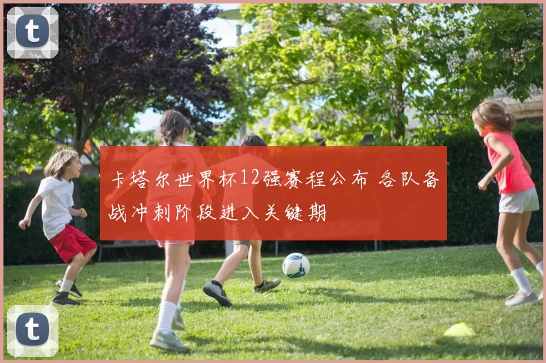 卡塔尔世界杯12强赛程公布 各队备战冲刺阶段进入关键期