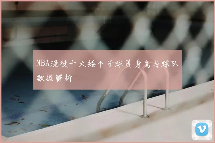NBA现役十大矮个子球员身高与球队数据解析