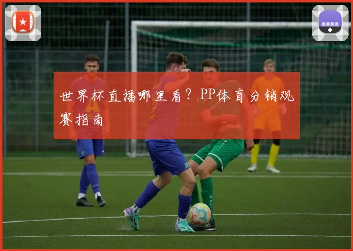 世界杯直播哪里看?PP体育分销观赛指南
