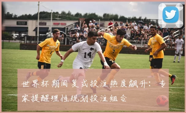 世界杯期间复式投注热度飙升:专家提醒理性规划投注组合
