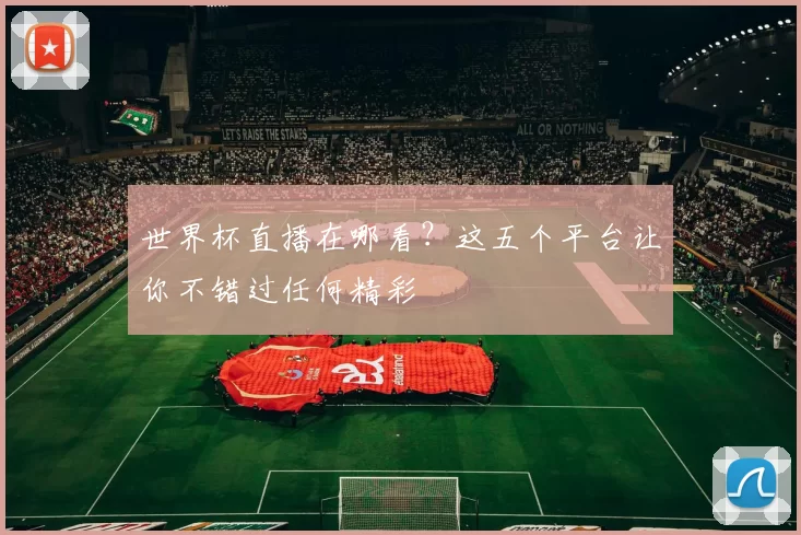 世界杯直播在哪看?这五个平台让你不错过任何精彩