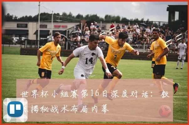 世界杯小组赛第16日深度对话:教练揭秘战术布局内幕