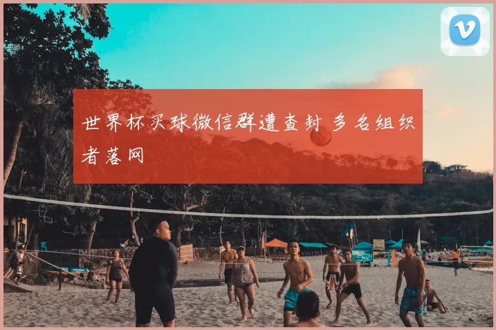 世界杯买球微信群遭查封 多名组织者落网