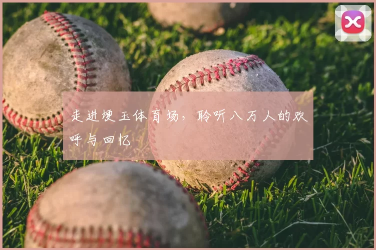 走进埂玉体育场,聆听八万人的欢呼与回忆