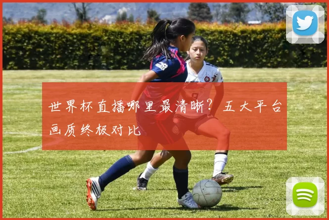 世界杯直播哪里最清晰?五大平台画质终极对比